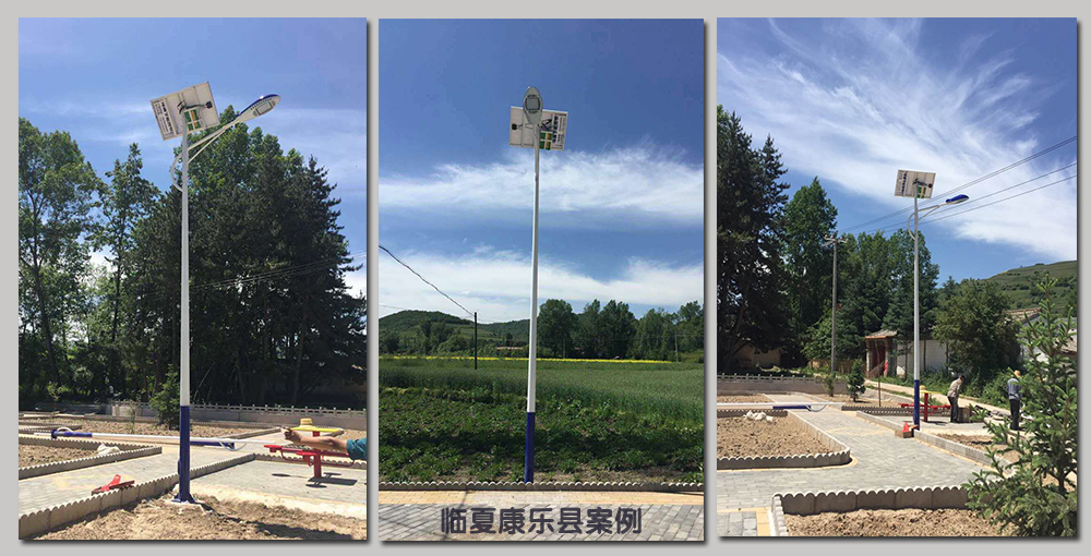 临夏康乐县案例