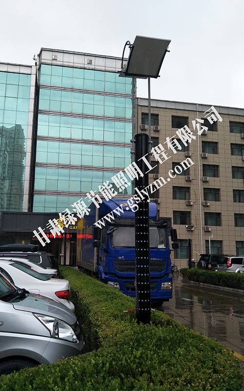 4米庭院灯工程案例